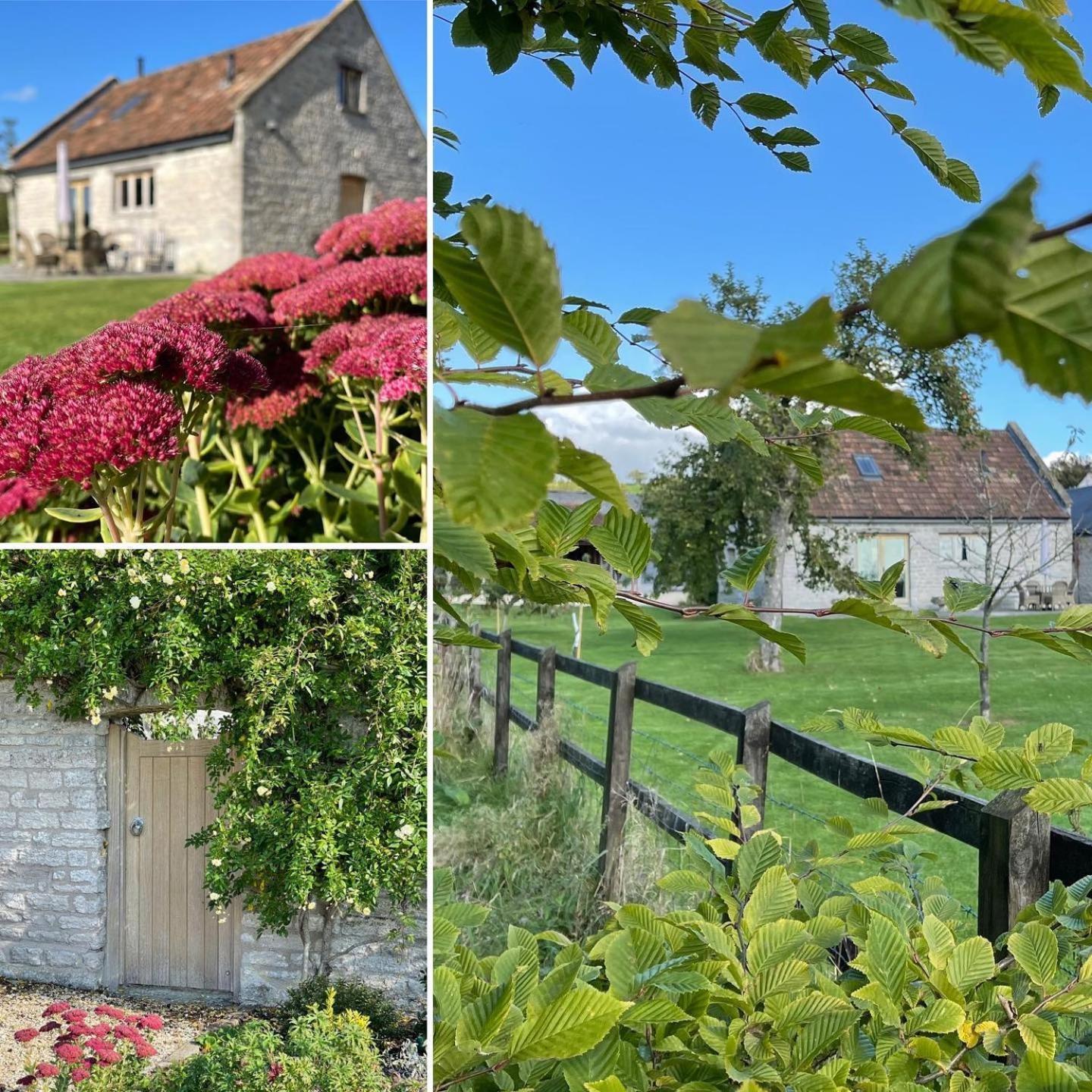 Yew Tree Cottage Shepton Mallet Ngoại thất bức ảnh